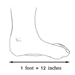 How Big Is 1 Foot Definition And Examples How Big Is 1 Foot Definition And Examples