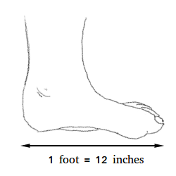 How Big Is 1 Foot Definition And Examples