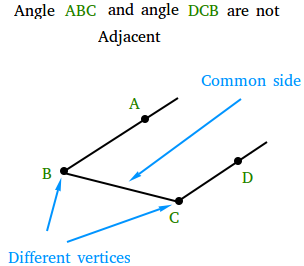 Nonadjacent angles Nonadjacent angles