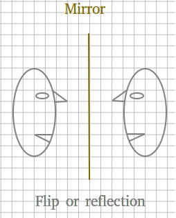 Flip or reflection
